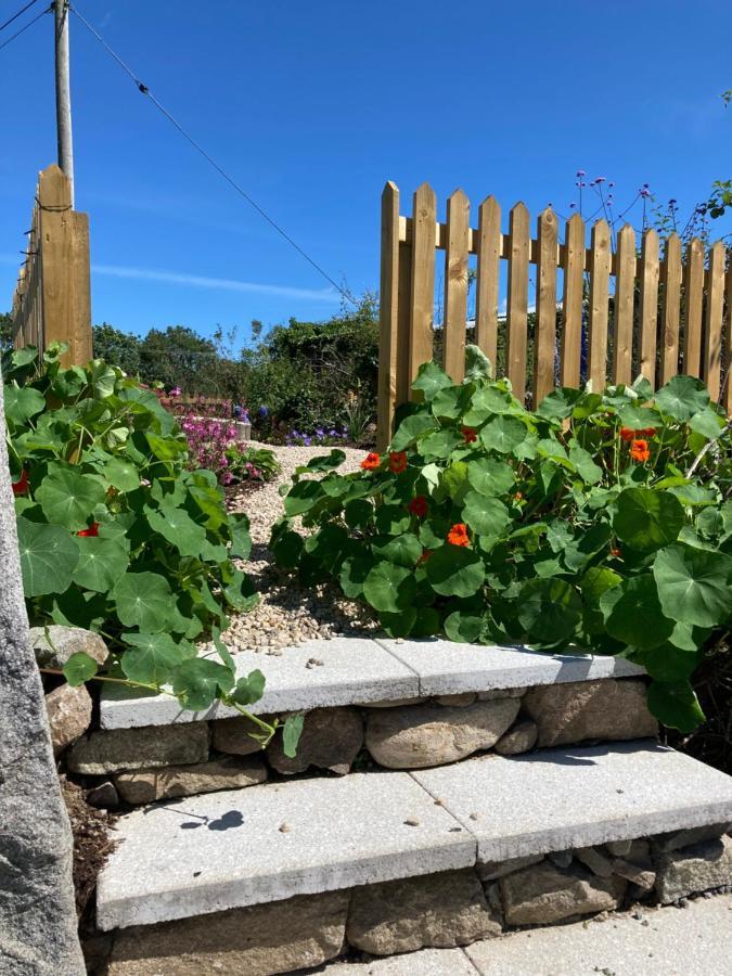 Bramble Cottage Rathfriland Ngoại thất bức ảnh
