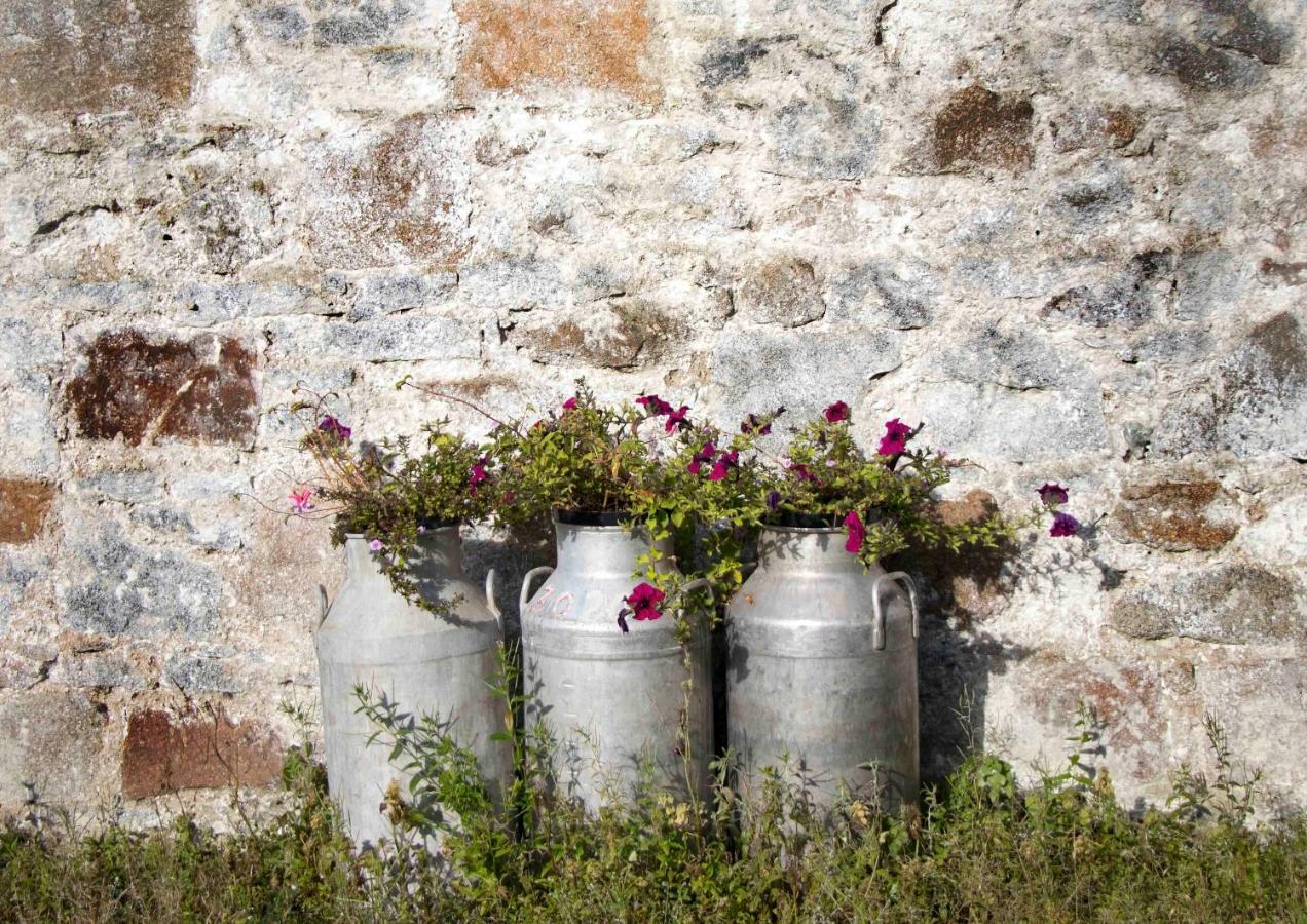 Bramble Cottage Rathfriland Ngoại thất bức ảnh