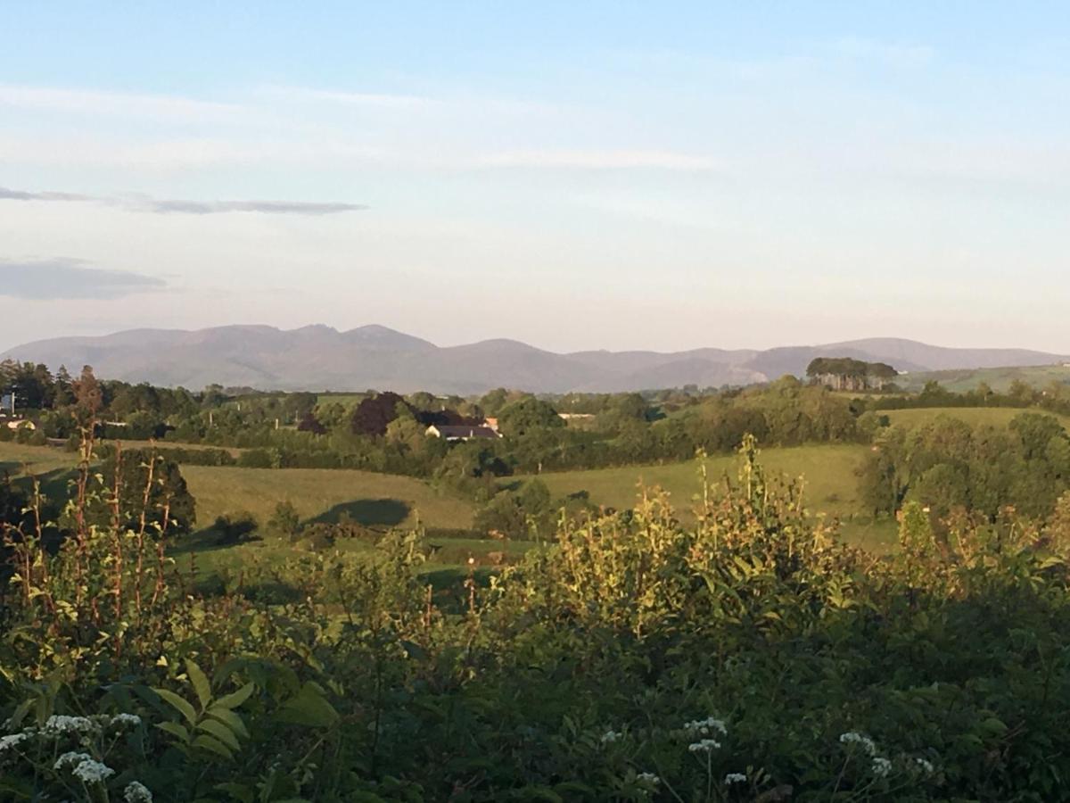 Bramble Cottage Rathfriland Ngoại thất bức ảnh